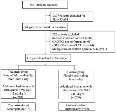 Folic Acid Attenuates Contrast-Induced Nephropathy in Patients With Hyperhomocysteinemia Undergoing Coronary Catheterization: A Randomized Controlled Trial